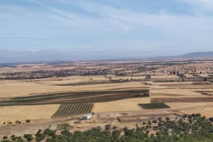 Catastro Higuera de la Serena - Ayuntamiento de Higuera de la Serena