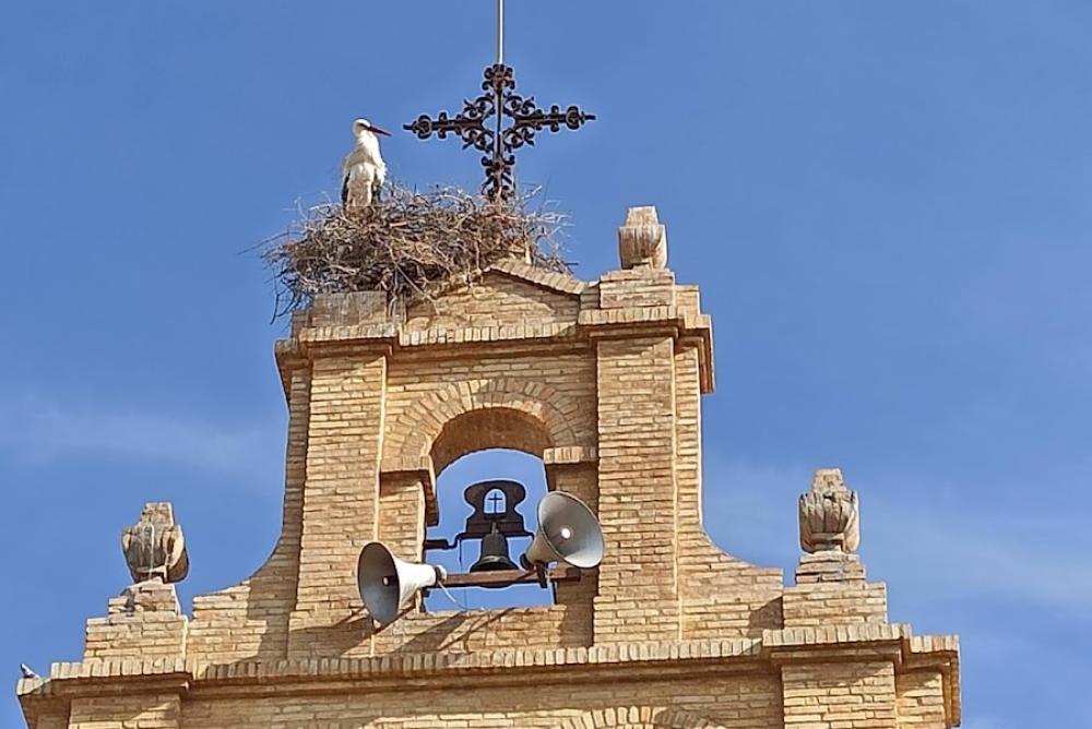 Catastro San José del Valle | Ayuntamiento