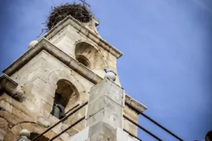 Catastro Villamartín de Campos - Ayuntamiento de Villamartín de Campos